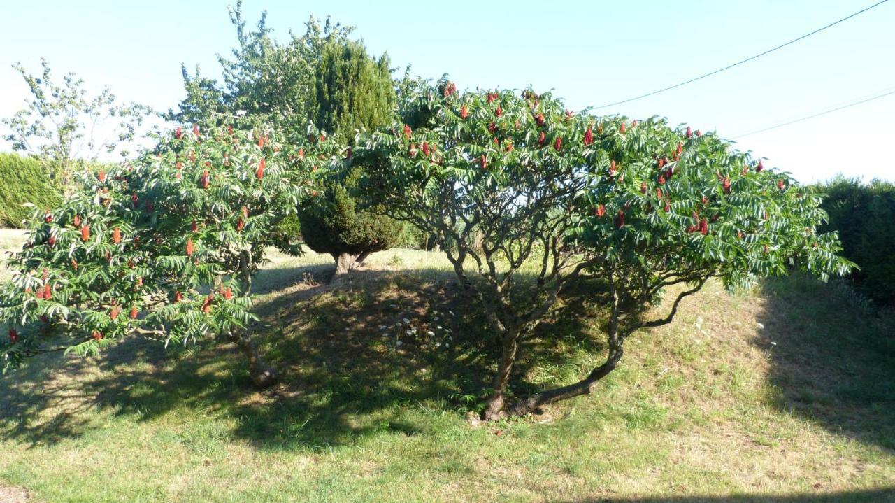 La Maison De Ners Pertheville-Ners Bagian luar foto